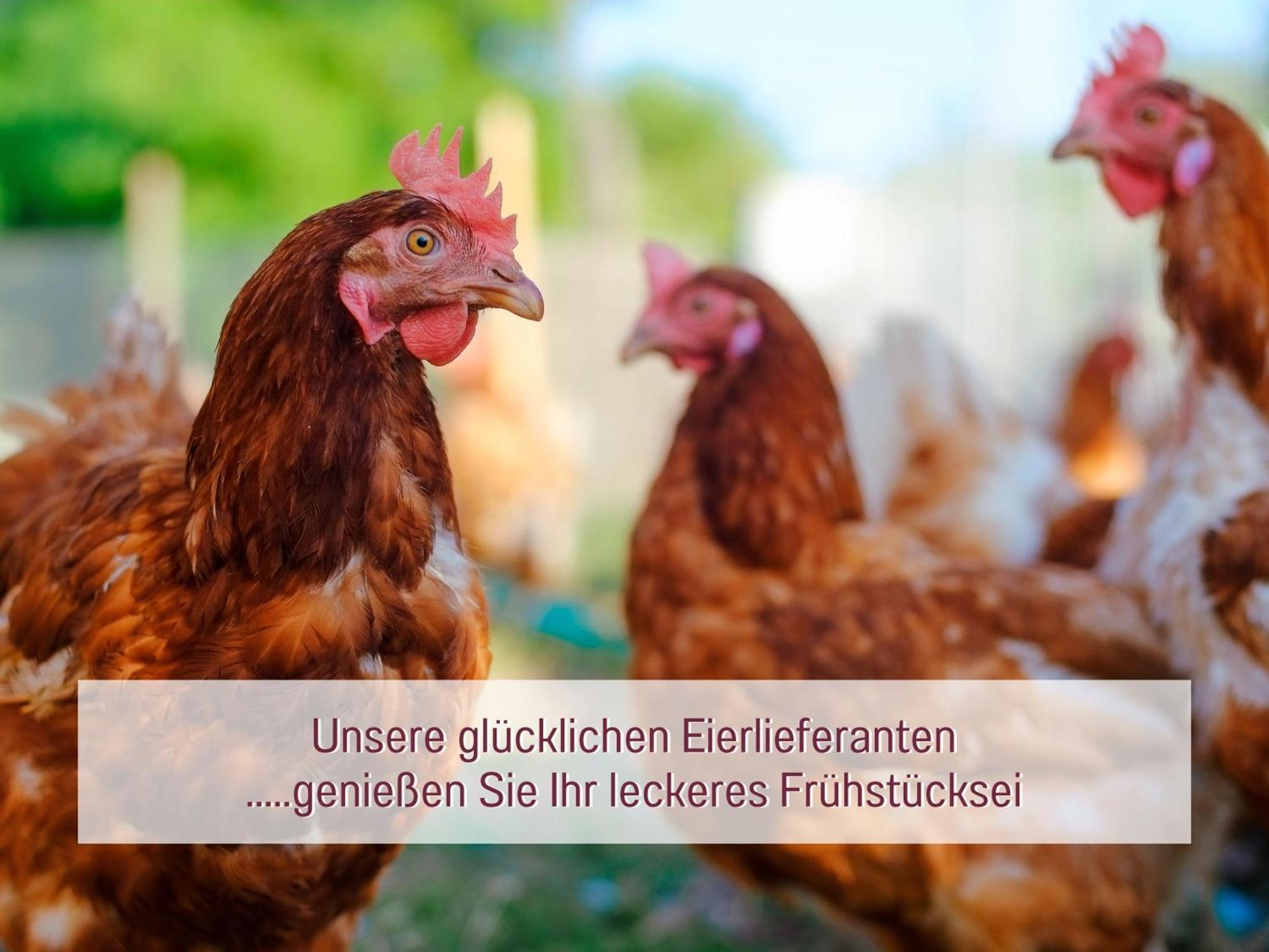 Ferienwohnung Beim Schmied Traunreut Exterior foto