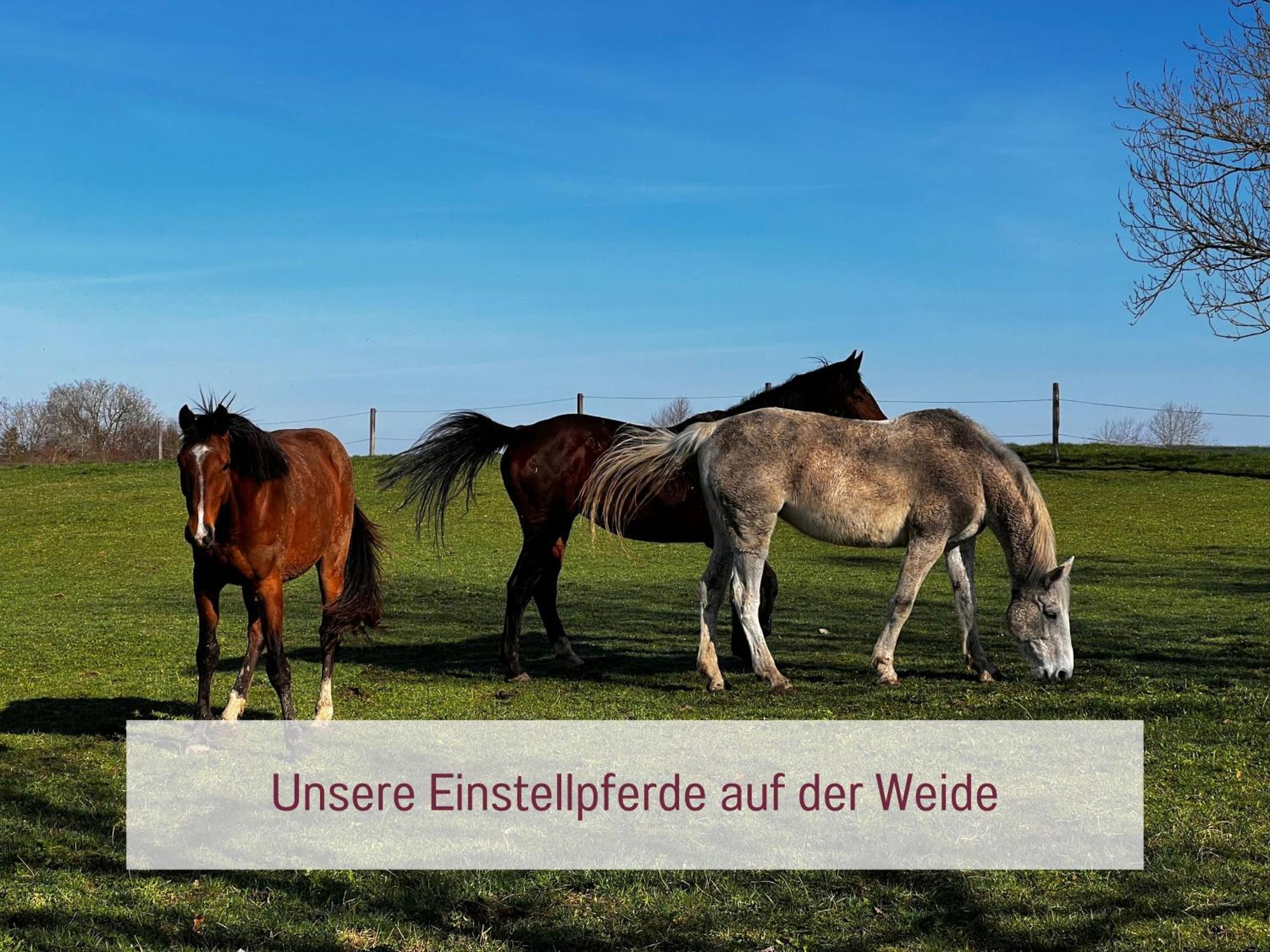 Ferienwohnung Beim Schmied Traunreut Exterior foto