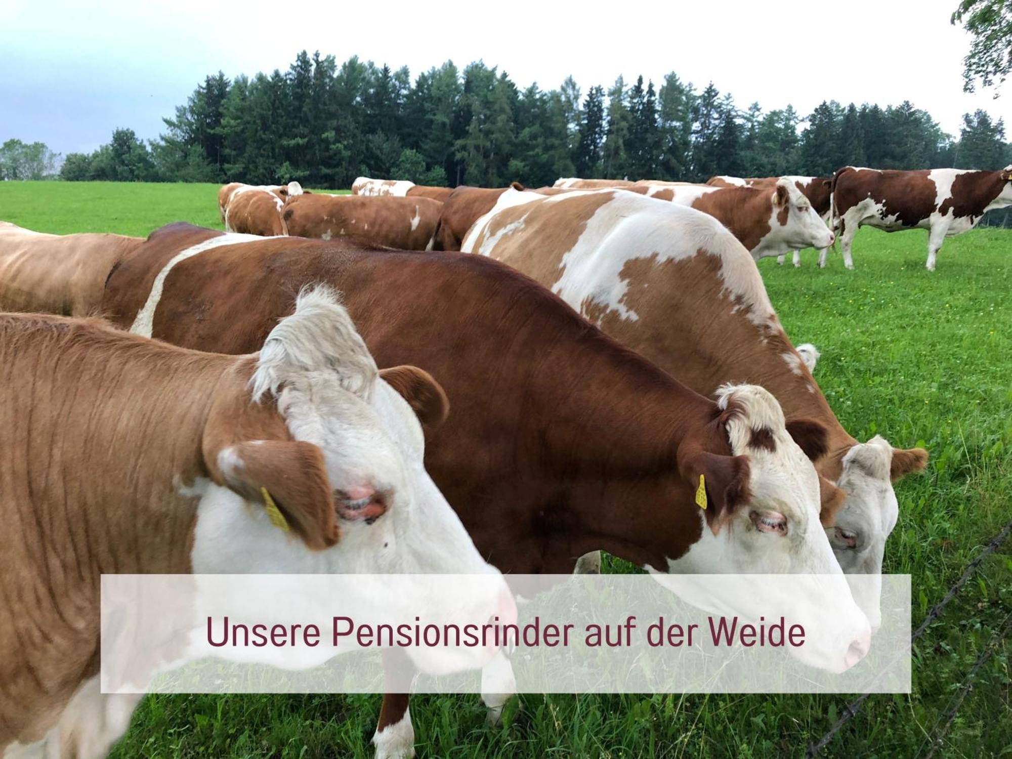 Ferienwohnung Beim Schmied Traunreut Exterior foto